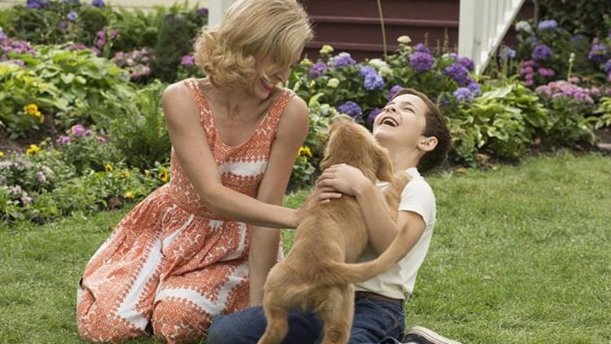 犬好き必見感動映画 A Dog S Purpose 野良犬トビーの愛すべき転生 きらきらペリー